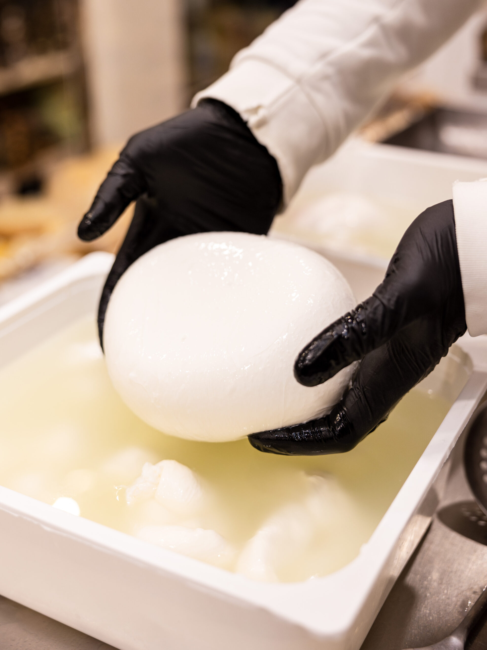 Fiordilatte mozzarella 1 Fiordilatte Latteria Mangini