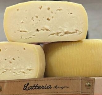 Stracchinato senza lattosio Latteria Mangini