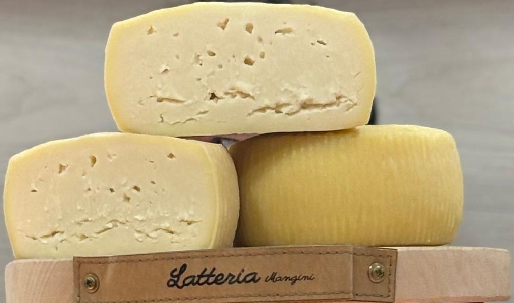 Stracchinato 1 Stracchinato senza lattosio Latteria Mangini